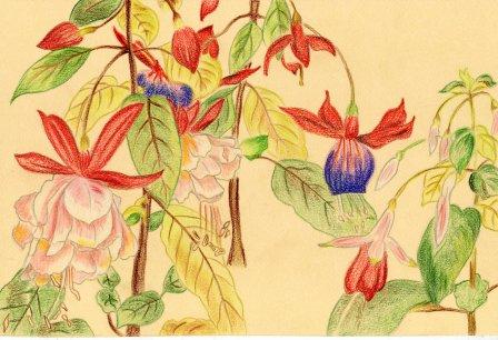 Contes et L�gendes : L�gende chinoise - Le Ma�tre et le Bambou (03)